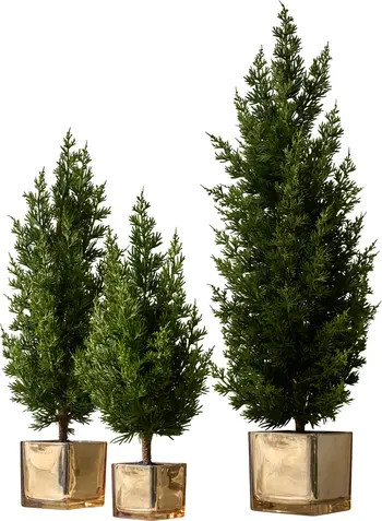 Evergreen Set of 3 Tabletop Trees | Nordstrom