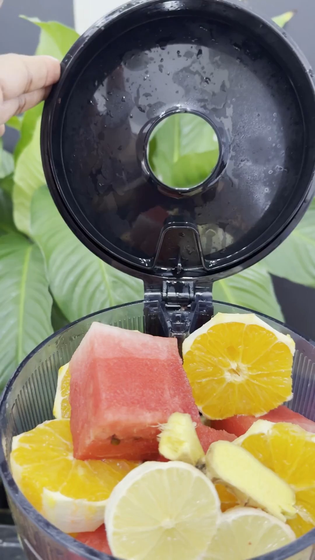 Starting fresh hits different when your kitchen is set up for success 🥬✨
A good juicer makes healthy habits easier, faster, and way more realistic for everyday life.
I linked the juicer I use on LTK because investing in your health is always worth it.

#juicerlife #healthinvestment #wellnessroutine #freshjuiceathome #healthyhabits #kitchenmusthave #LTKhome #LTKfinds #LTKsale #shoppingfavorites #onlineshopping #wellnessjourney #ShoppingWithPriiincesss #Atlantamom #AtlantaCreator #Atlantacontentcreators

#LTKHoliday #LTKGiftGuide #LTKfitnessgoals