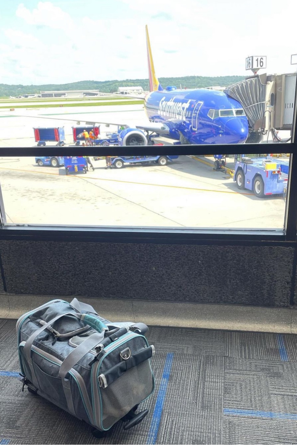 23 pound French Bulldog fits in this TSA approved pet carrier - the removable wheels go in the overhead which allows the carrier to fit seamlessly under the seat in front of you. Not “super cute” but is super practical with tons of zipper pockets 

#LTKfamily #LTKtravel