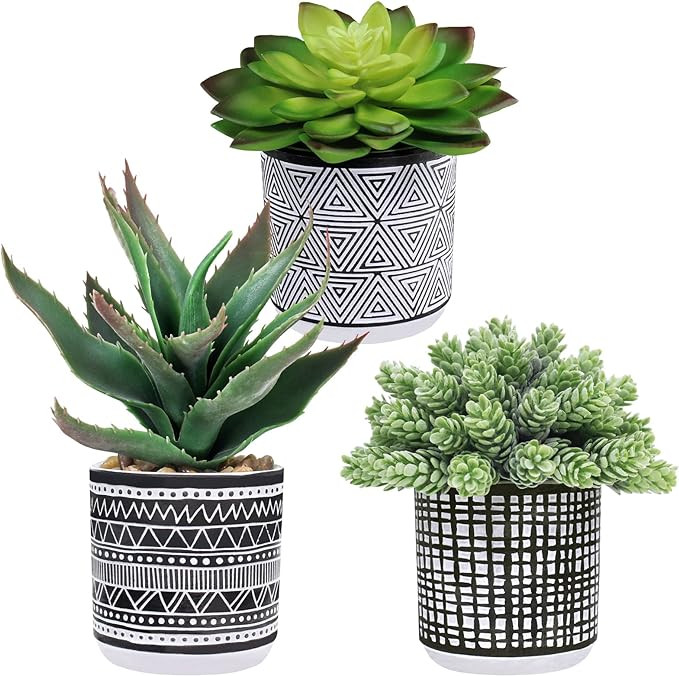 Winlyn Set of 3 Assorted Small Potted Succulents Arrangement Artificial Succulent Plants in Black... | Amazon (US)