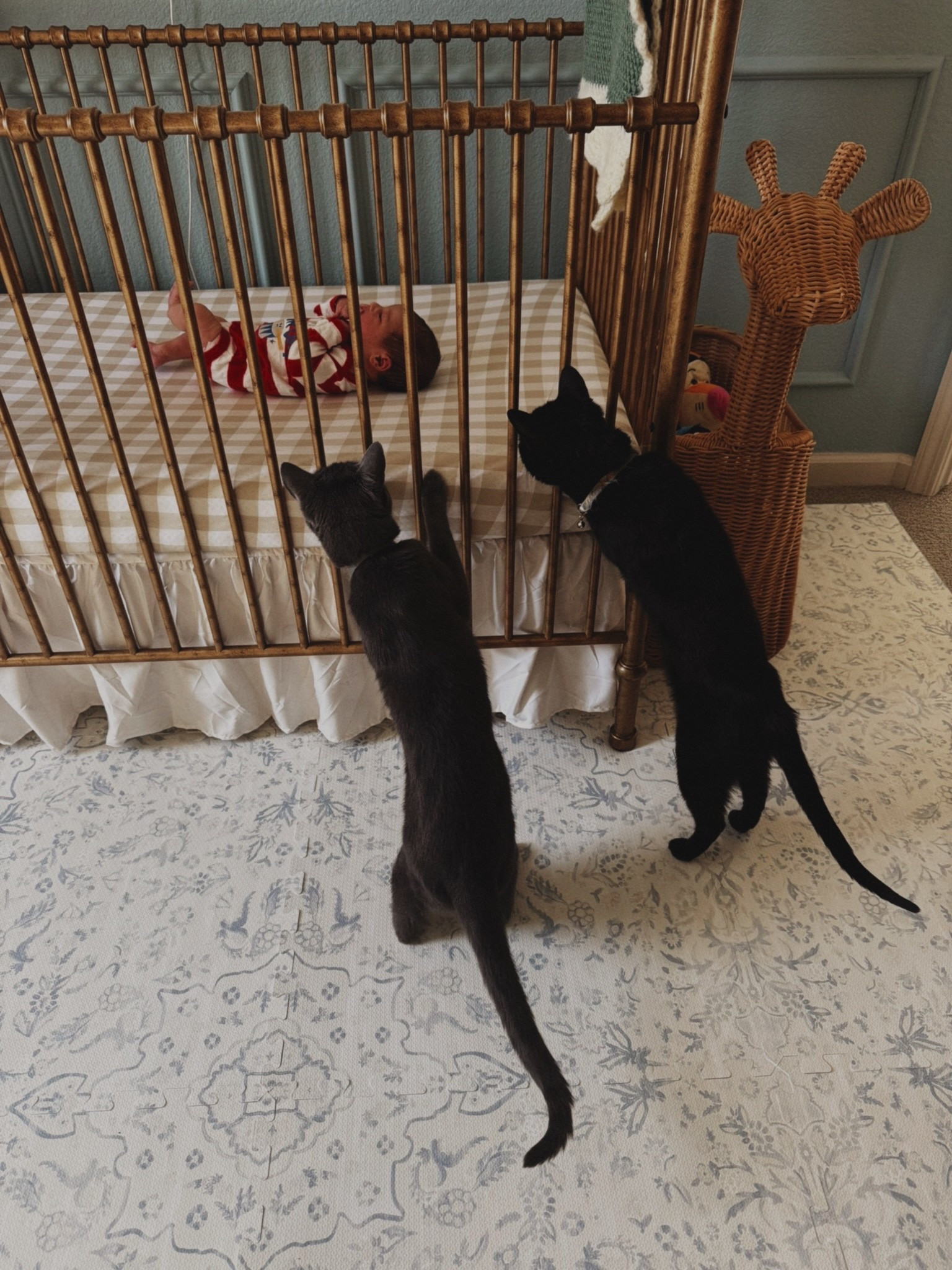 one of my fav pictures 🥺❤️

- our crib is the big size of the Abigail crib, but I only see the mini one in stock right now - 

#LTKKids #LTKBaby #LTKHome