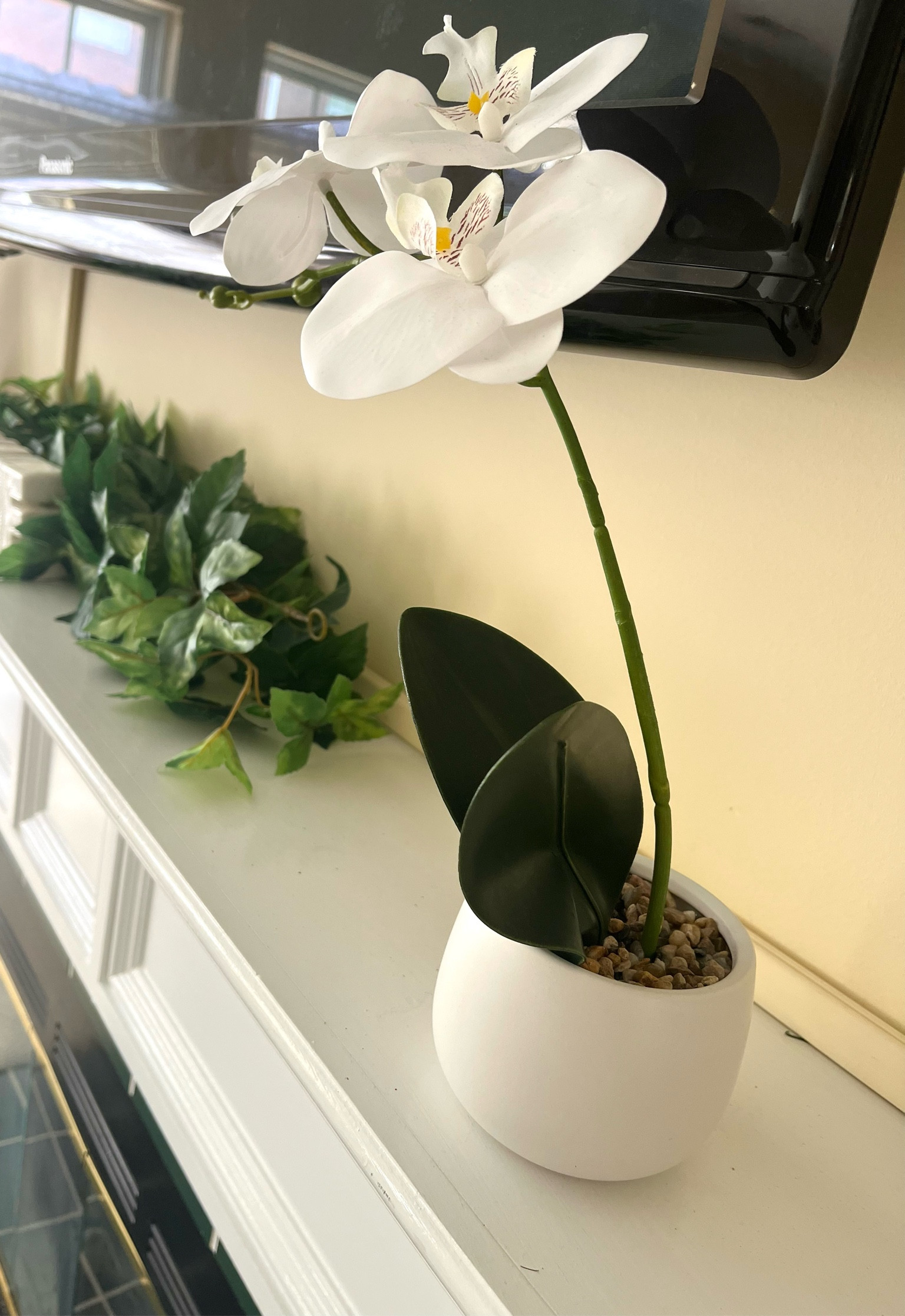 Loving my new orchid ‘! Under $15!!

#walmarfinds #walmart #under15 #homedecor



#LTKSeasonal #LTKSaleAlert #LTKHome