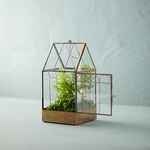 Brass Greenhouse | Terrain