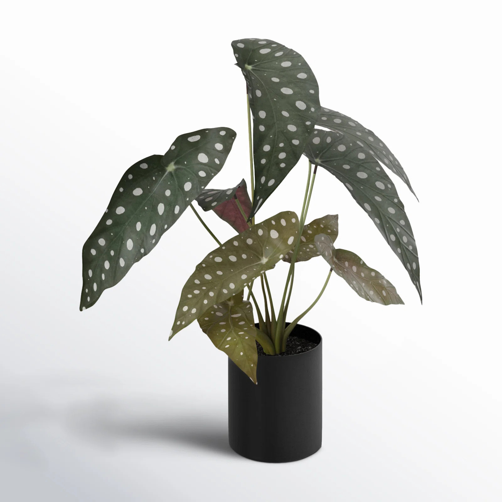 AllModern 34'' Artificial Reed Plant in Pot Liner & Reviews | AllModern | AllModern