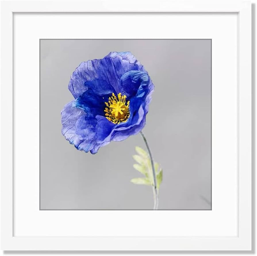 VNVNK 24x24 Frame White, Perfect for 24x24 Inch Picture without Mat or 20x20 Inch Picture with Ma... | Amazon (US)