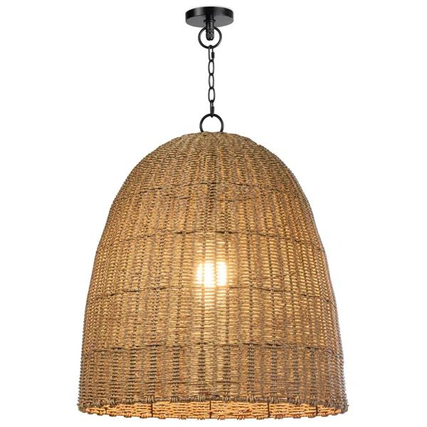 Coastal Living Beehive Outdoor Pendant | Wayfair North America