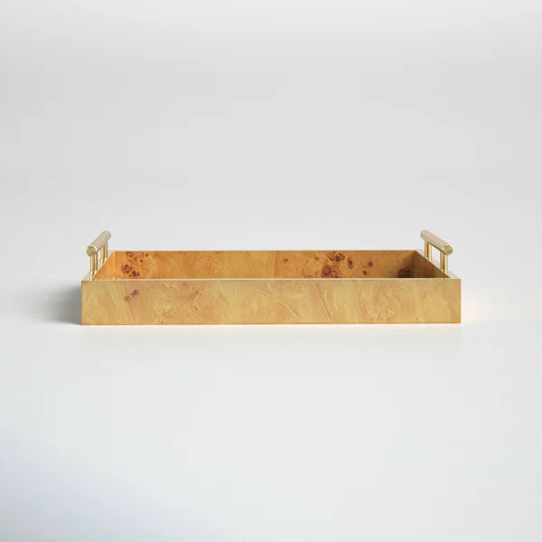 Landyn Tray | Wayfair North America