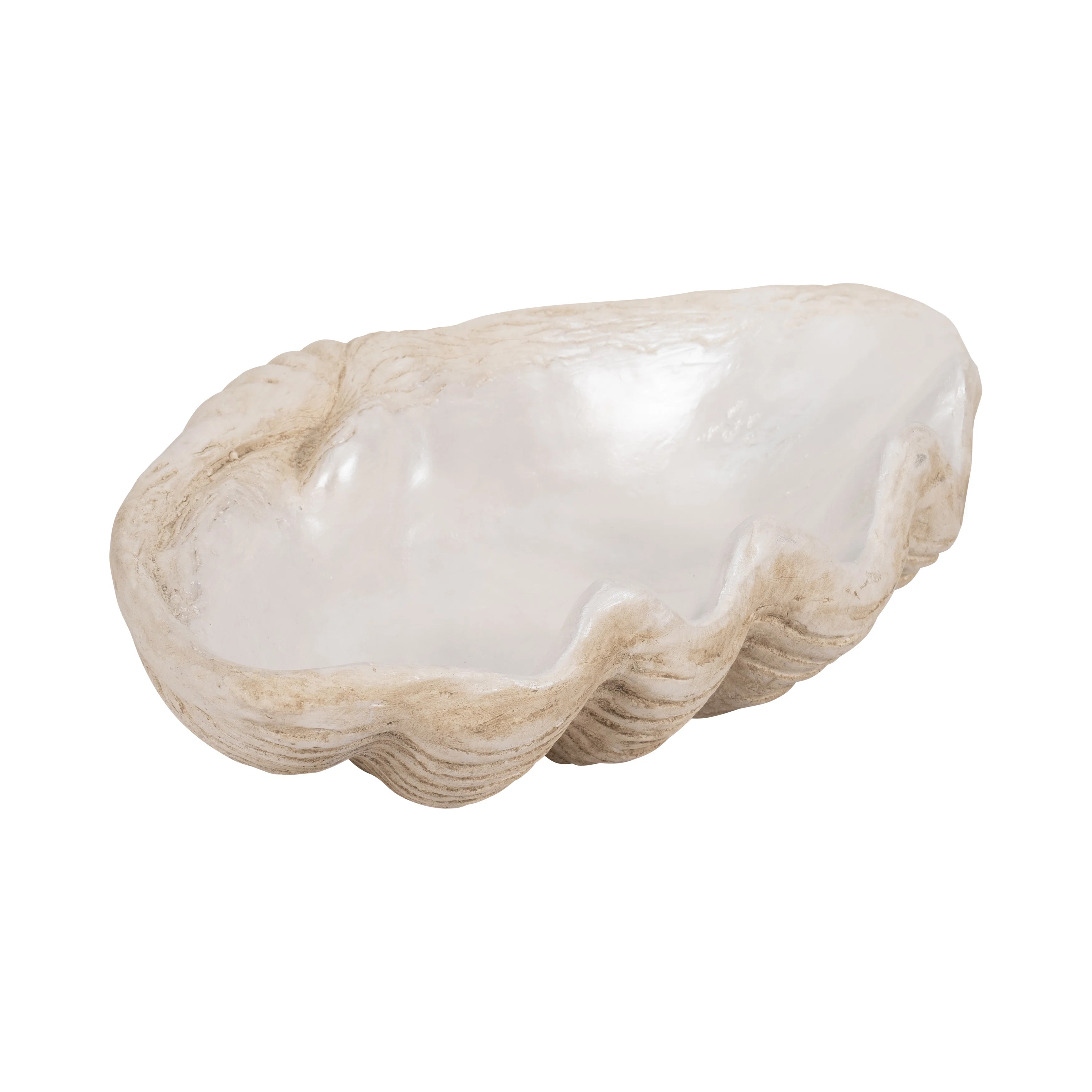 Pearlized Shell Bowl, Novelty | Wayfair North America
