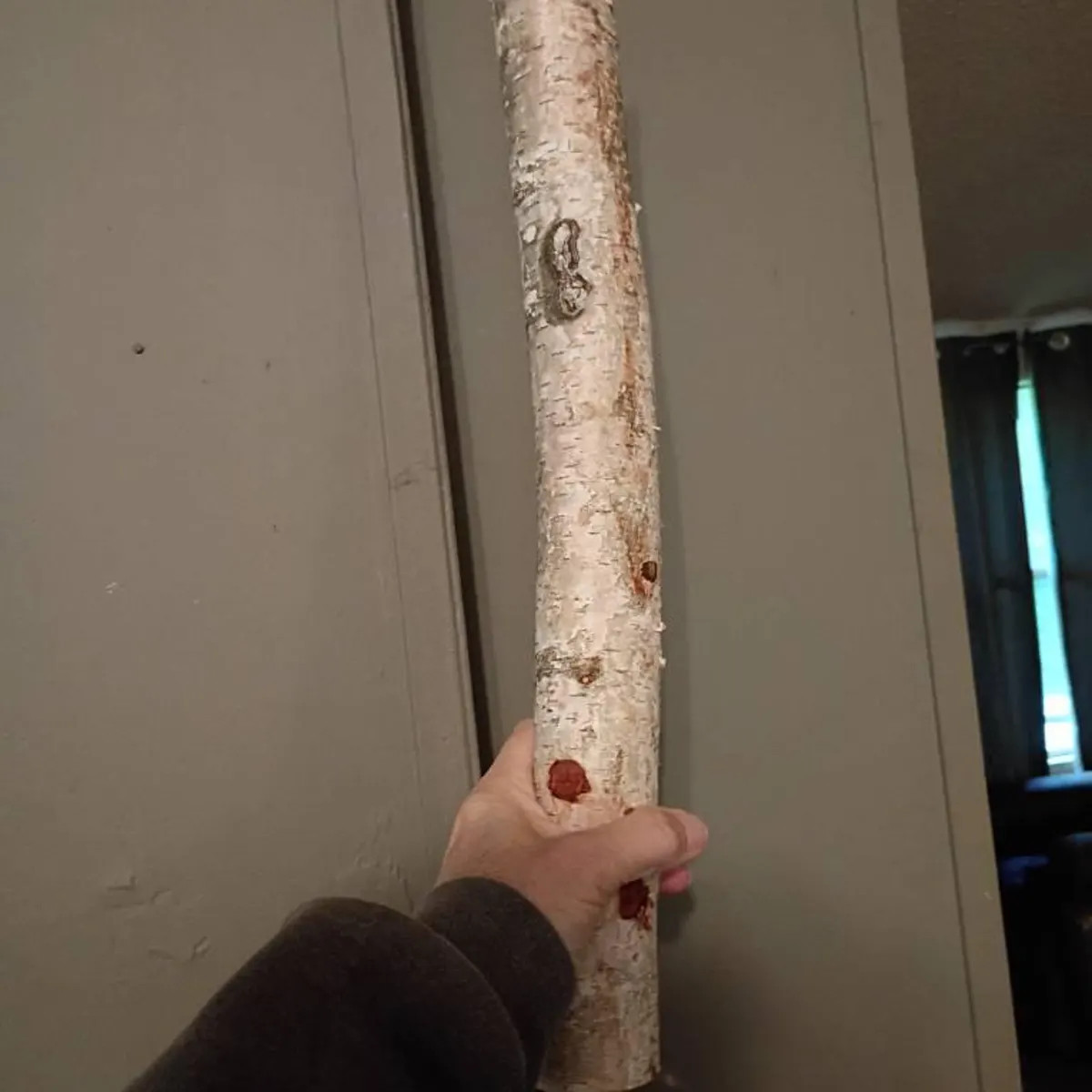 Natural White Birch Logs for Decorating (multiple Quantities and Sizes) - Rustic Decor, Home Deco... | Etsy (US)