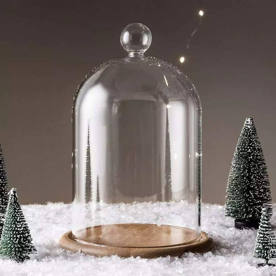 Home Decor Vases Glass Flower Display Cloche Bell Jar Dome Immortal Preservation + Wooden Base Ev... | Amazon (US)