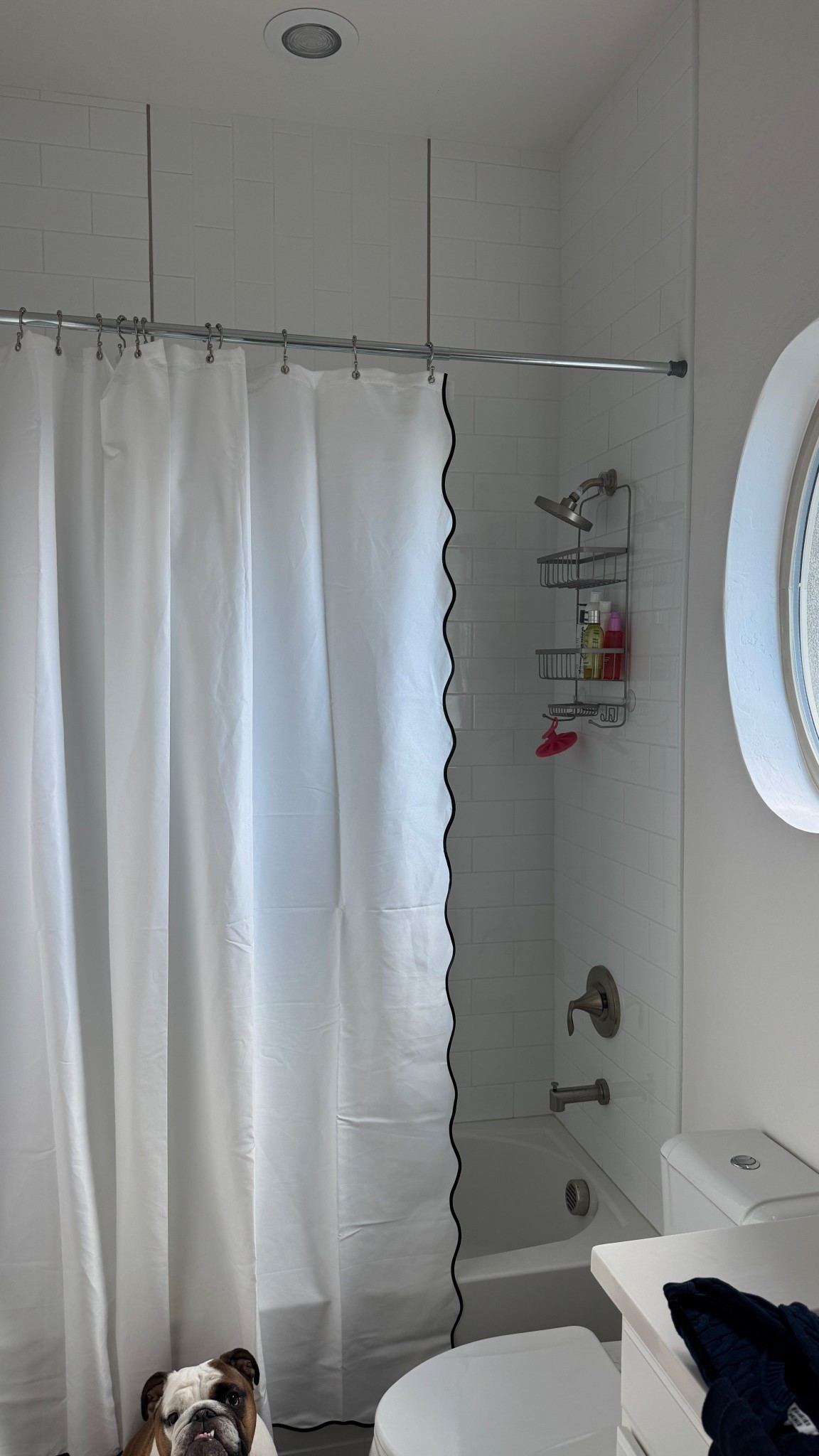 Cutie scalloped shower curtain! This is the extra long (84”)

#LTKmorningroutine #LTKFindsUnder50 #LTKHome