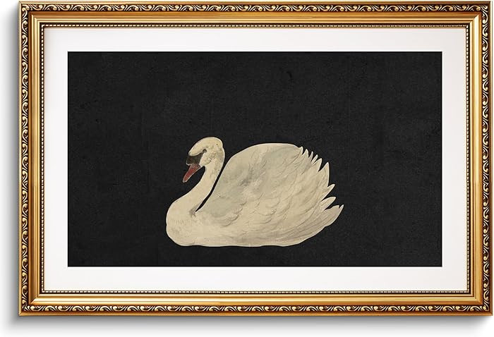 VIYYIEA Gold Framed Large Swan Decor Wall Art Canvas Print Vintage Grace Swan Art Painting Pictur... | Amazon (US)