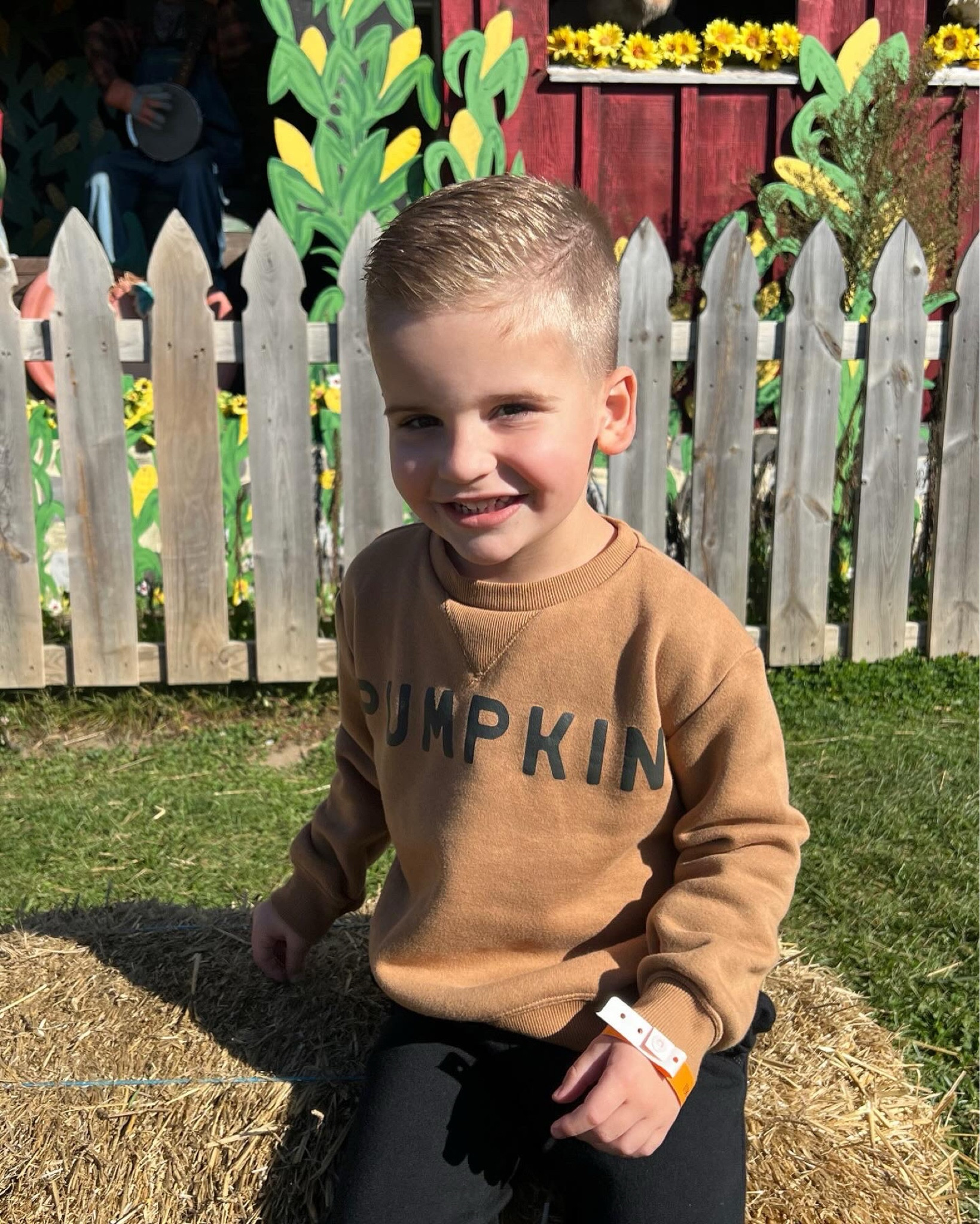 TODDLER PUMPKIN SWEATER 🎃

#LTKBaby #LTKFamily #LTKSeasonal