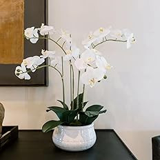 Faux White Orchid Plant, Premium Artificial Indoor Flower Display Stands 23”, Beautiful Sculptu... | Amazon (US)