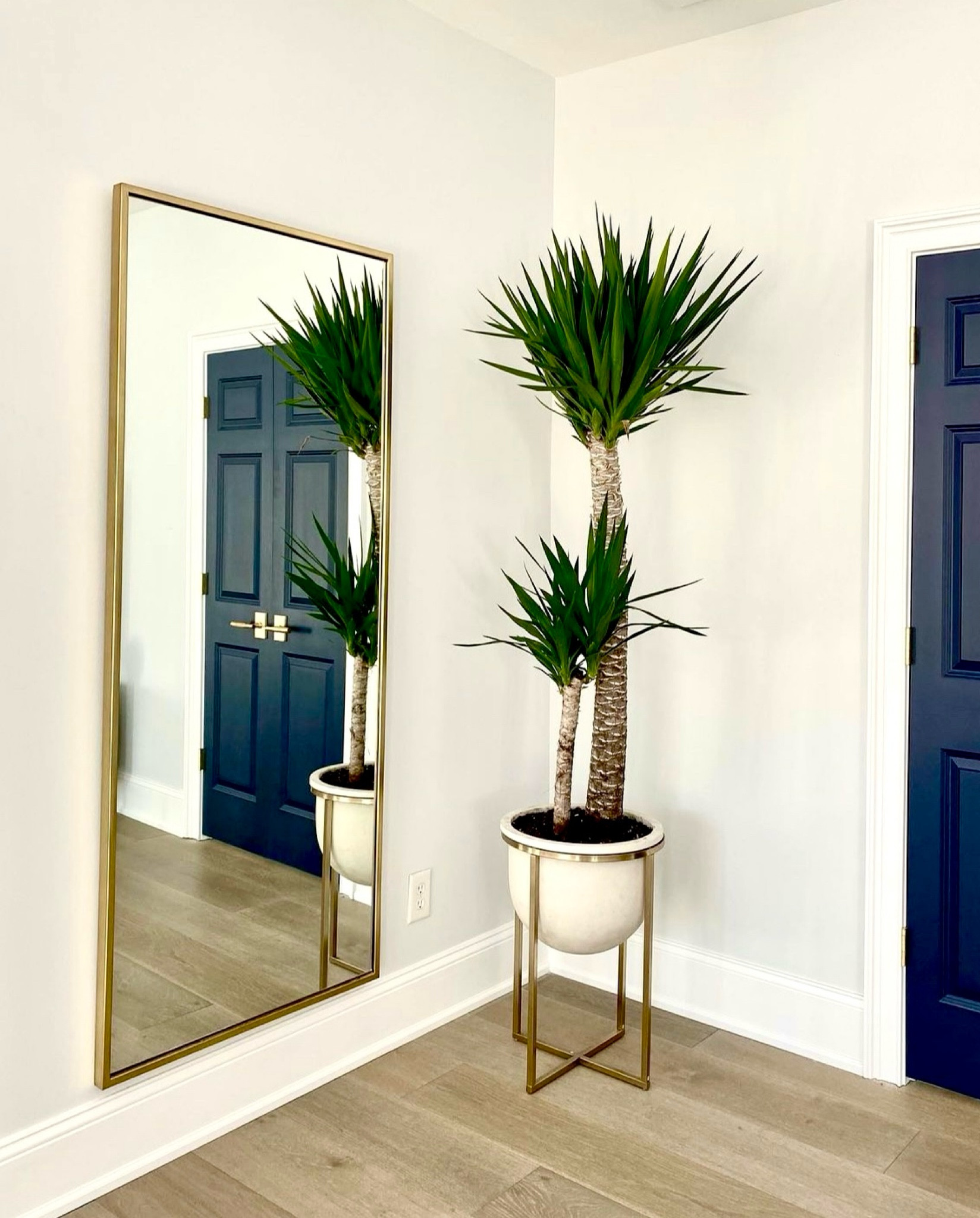 Enhance the beauty of your space with plants placed next to mirrors. 
#mirror #bedroomaccessories #planters #modernhomedecor

#LTKhome #LTKstyletip