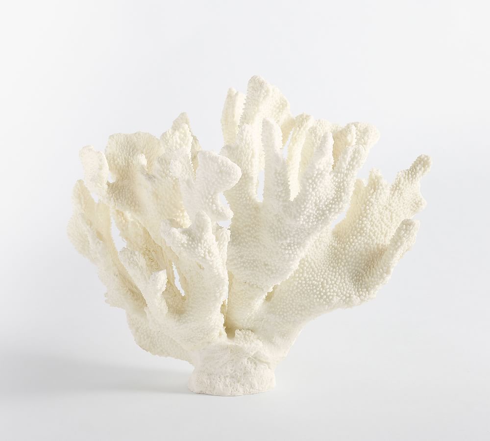 Faux Coral Decorative Objects | Pottery Barn (US)