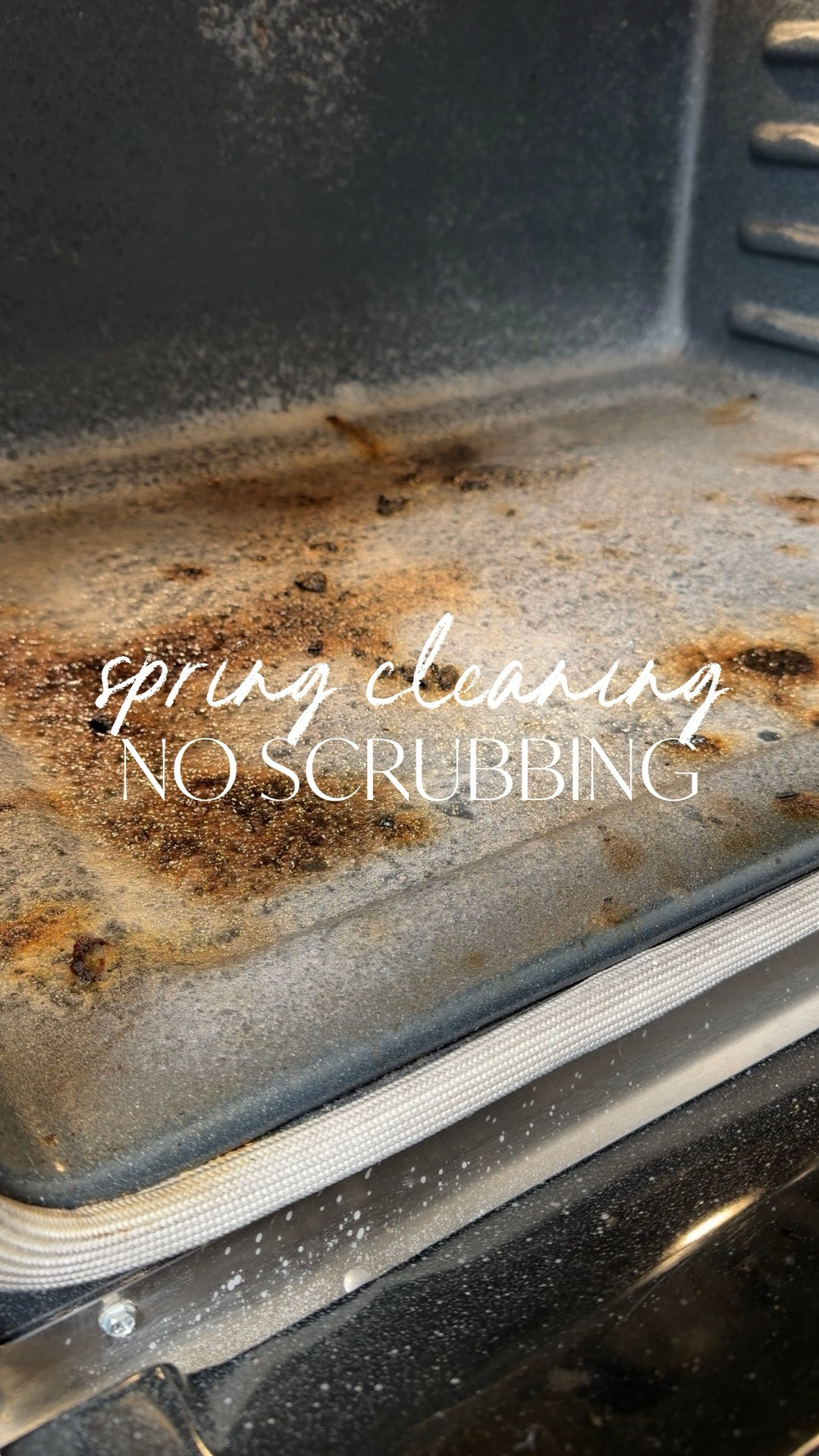 This spray does the hard work so you don’t have to. Spray, wait, wipe. That’s literally it. No scrubbing, no gloves, no fumes.

Baked-on grease? Gone. Crusty residue? Gone. Your afternoon? Still yours. 🙌

This is the number 1 cleaner for a reason - and spring cleaning just got a whole lot easier.

#LTKmomlife #LTKdayinmylife #LTKHome