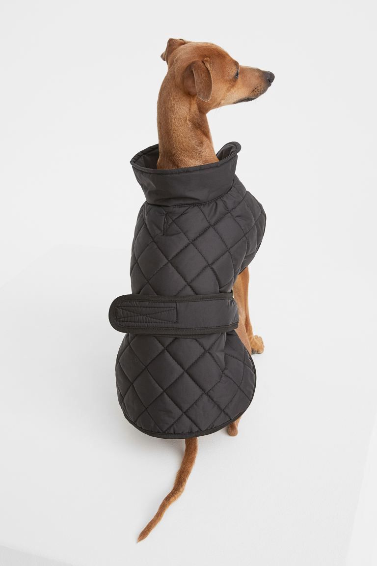Quilted Dog Jacket | H&M (US + CA)