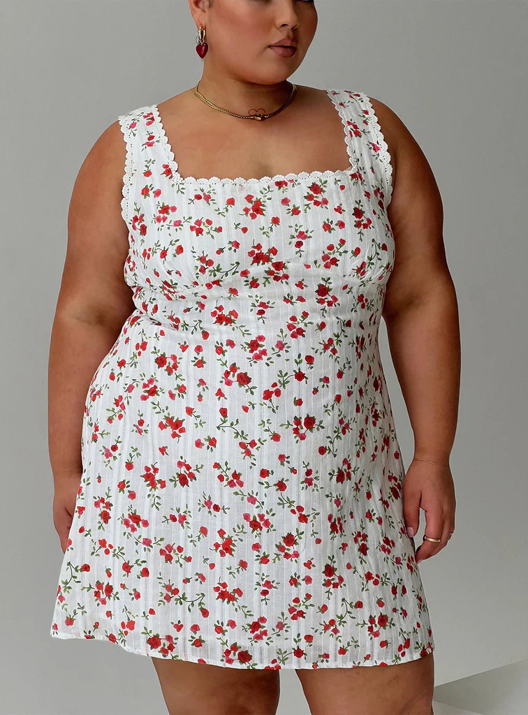 Dasha Mini Dress White Floral Curve | Princess Polly US