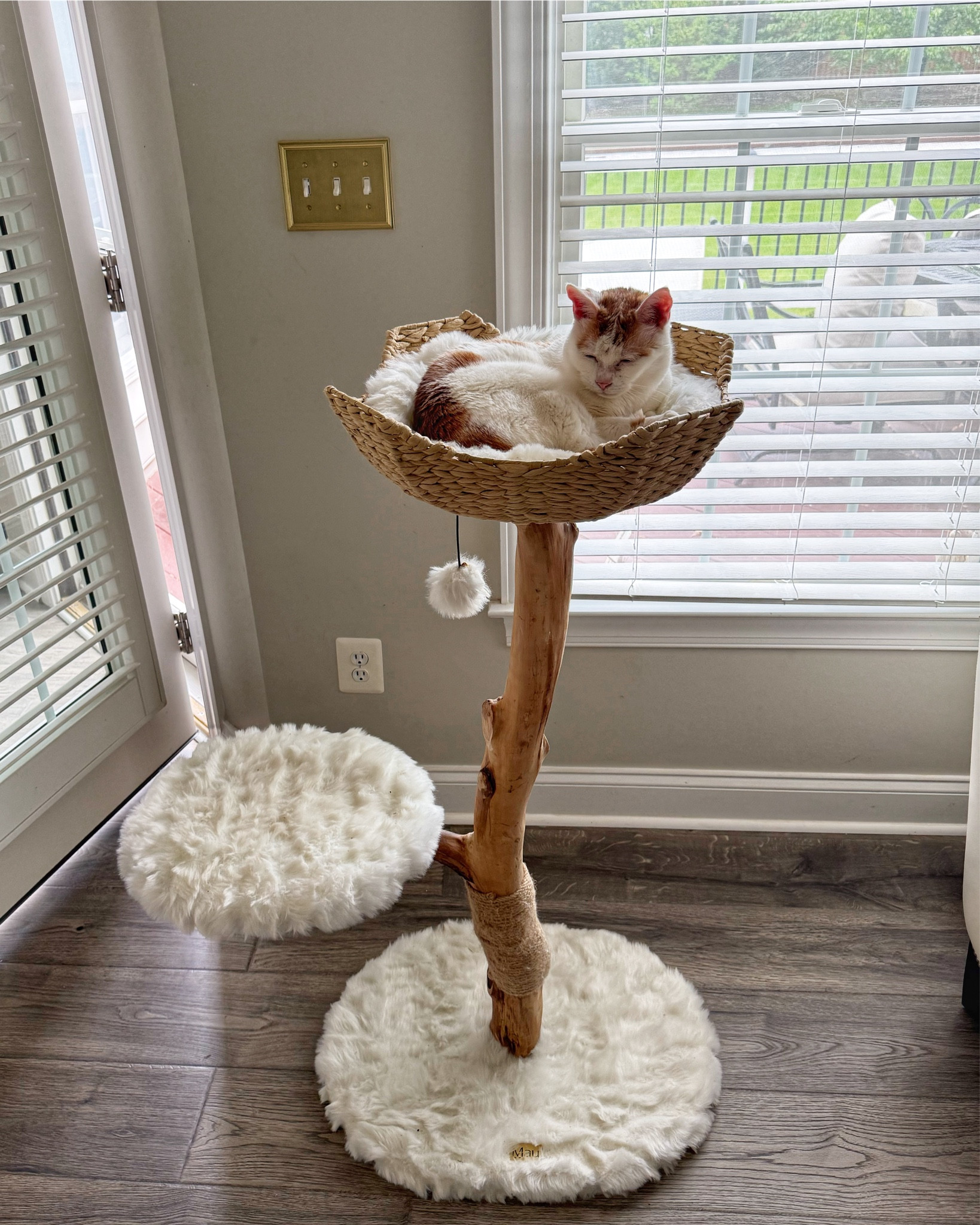 Amazing quality cat tree, it’s so pretty it looks like it’s part of our room decor😍

Pet furniture, cat furniture, cat tower 


#LTKHome #LTKmomlife