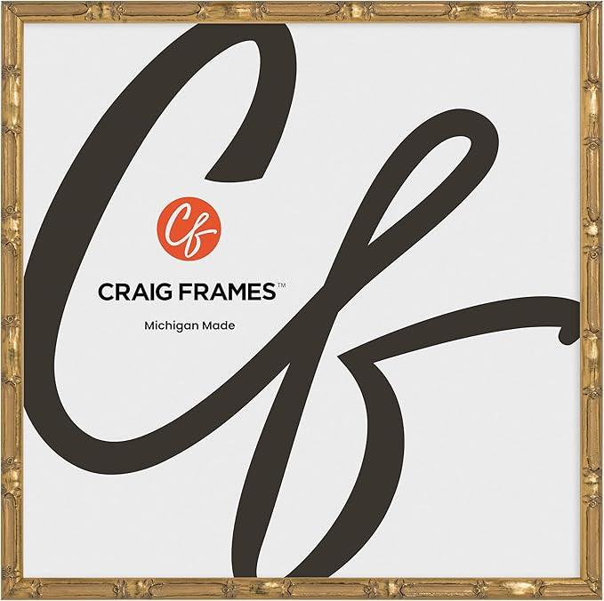 Craig Frames Vintage Champagne Gold Bamboo Composite Picture Frame, 12 x 12 Inch | Amazon (US)