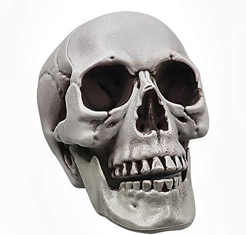POWER TOY Skull for Halloween Decoration Human Skull Graveyard Outdoor | Amazon (US)