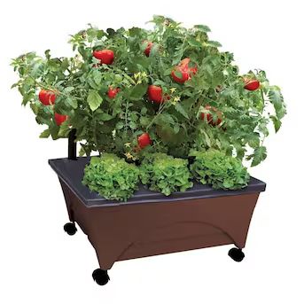 EMSCO GROUP 20-in W x 24.5-in L x 10-in H Earth Brown Resin Raised Garden Bed | Lowe's