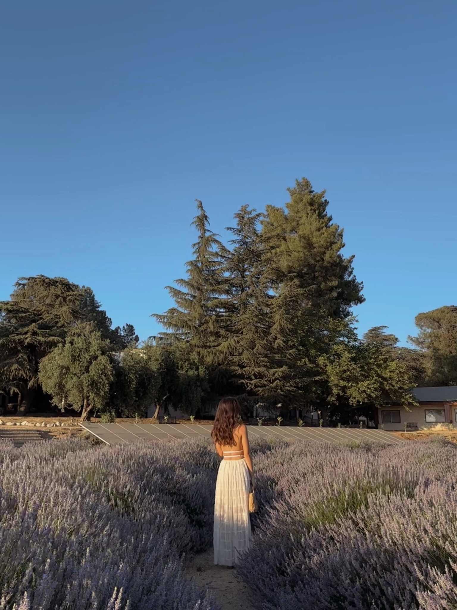 A golden hour memory ft this tiered white maxi skirt set 🤍

#LTKootd #LTKFestival #LTKSeasonal