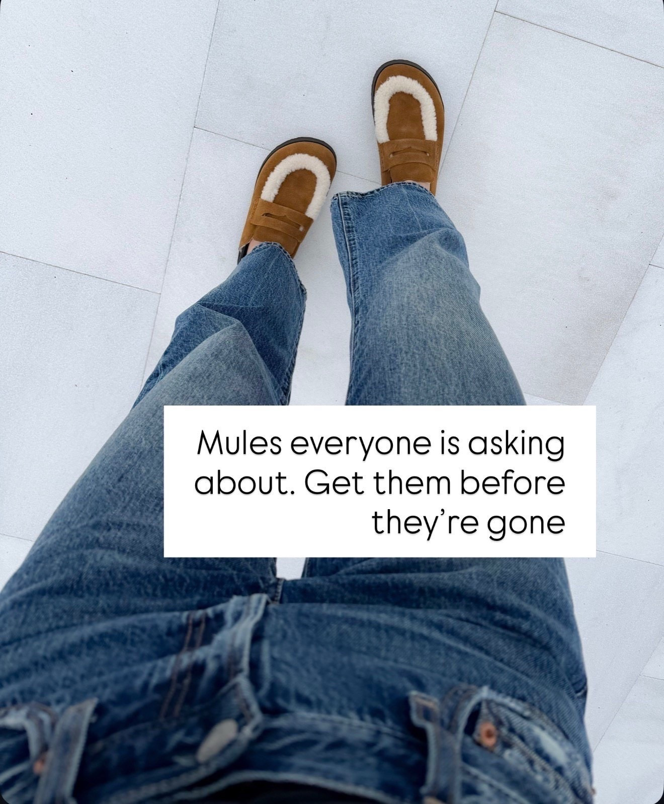 WEEKLY BEST SELLERS
Steve Madden Faux Fur Mules.
Everyone’s favorite Myles, great Christmas gift, gifts for her, annabrstylee

#LTKOver40 #LTKFindsUnder100