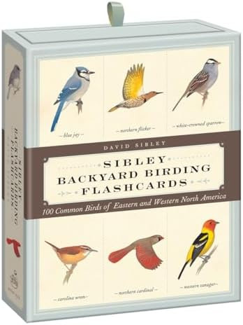 Sibley Backyard Birding Flashcards: 100 Common Birds of Eastern and Western North America (Sibley... | Amazon (US)