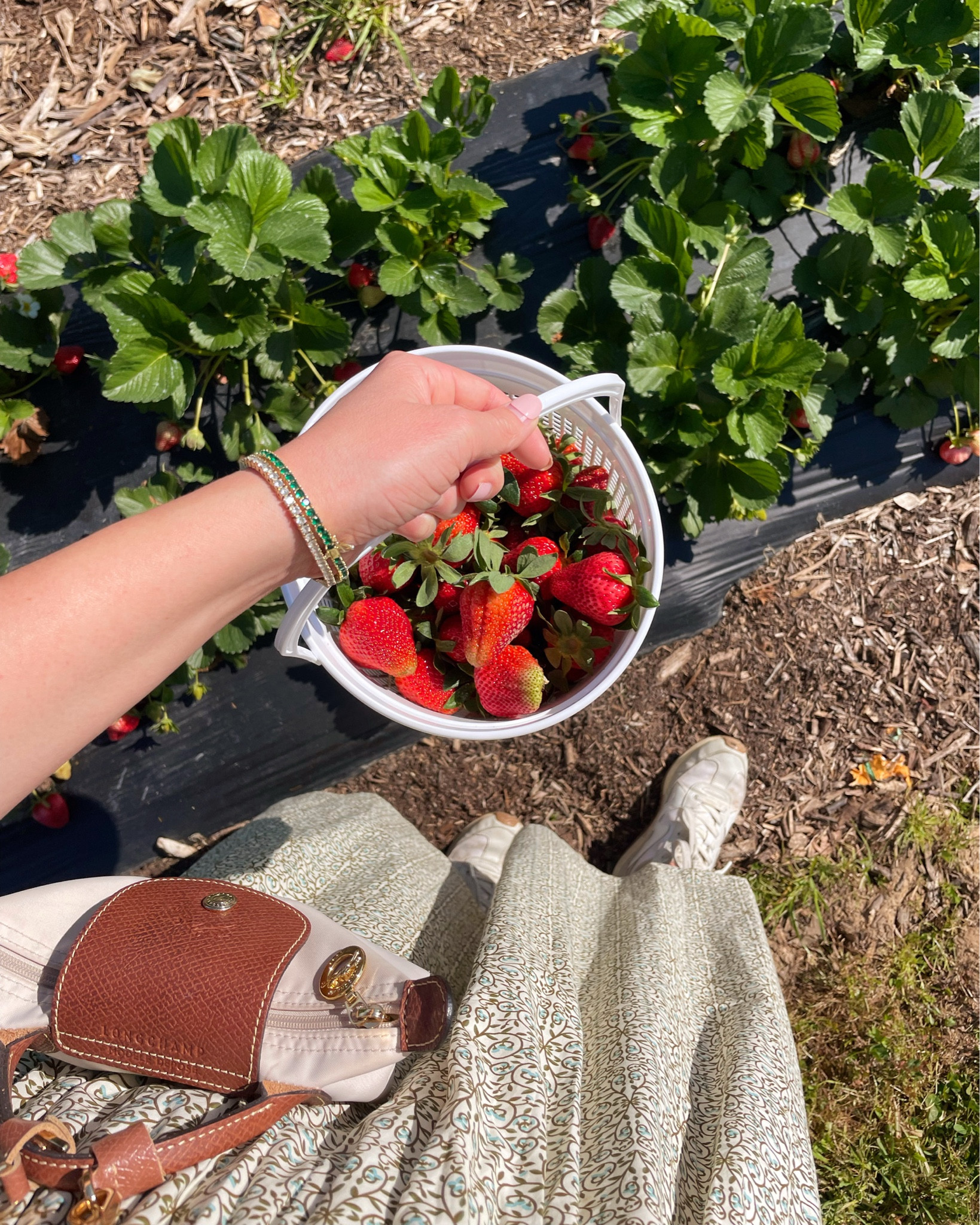 🍓🍓🍓🍓 Perfect Saturday berry picking!! Wearing a size XS in my Darling Loungewear dress - runs TTS  

#LTKdayinmylife #LTKootd #LTKU