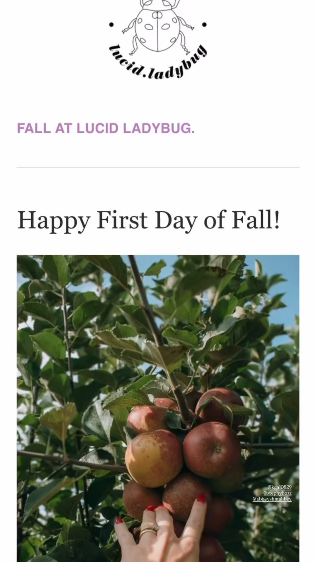 Fall at lucid ladybug ✨ 

#LTKFallSale #LTKWedding #LTKSeasonal