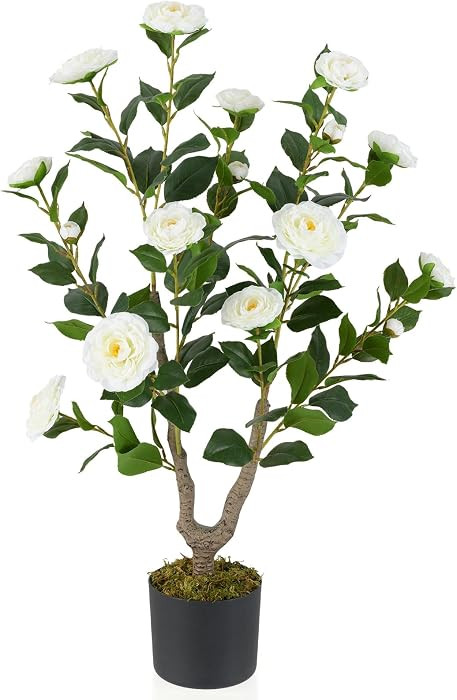 White | Amazon (US)