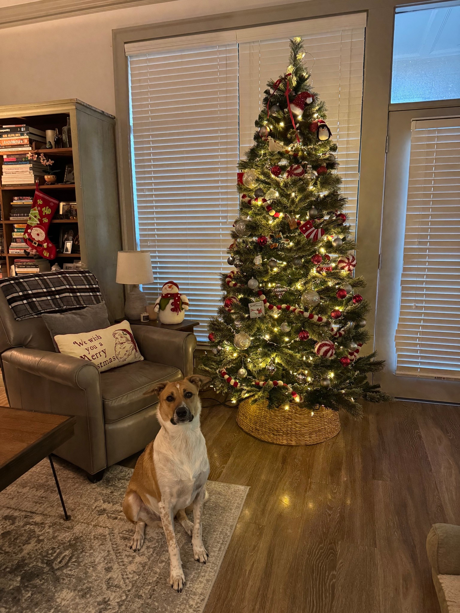 Christmas decor // Christmas tree // ornaments // target // under $100 // tree skirt // felt garland for tree // decorations // decor 

#LTKCyberWeek #LTKHoliday #LTKSeasonal