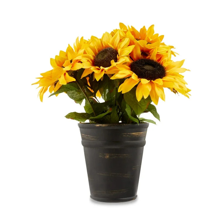 Harvest Yellow Sunflower Pot, Way To Celebrate | Walmart (US)