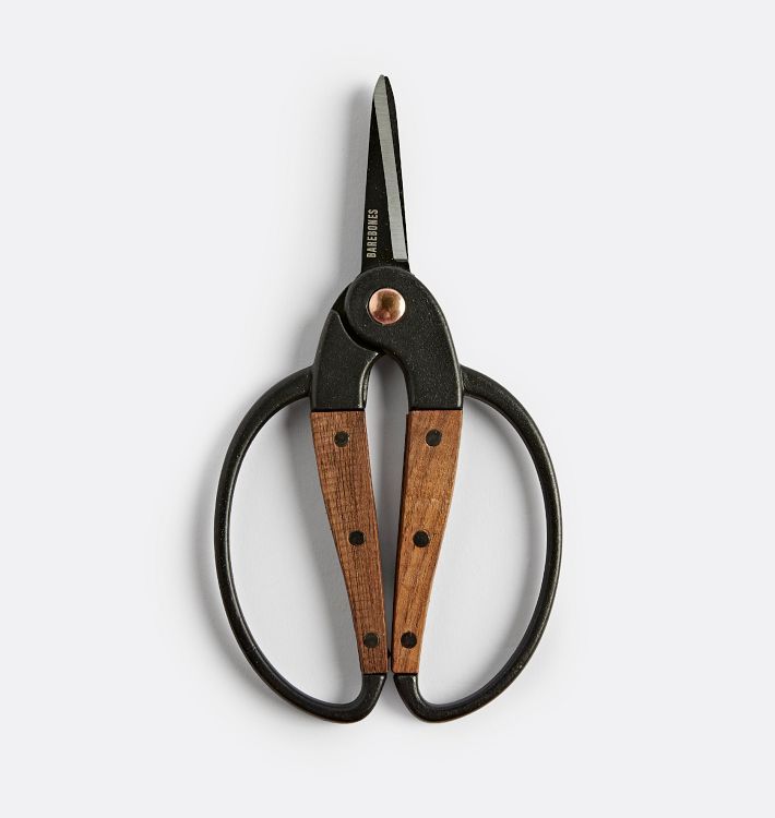 Small Scissors with Walnut Handles | Rejuvenation
