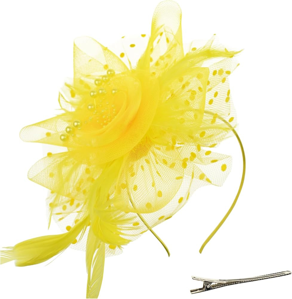DRESHOW Fascinators Hat Flower Mesh Ribbons Feathers on a Headband and a Clip Tea Party Headwear ... | Amazon (US)