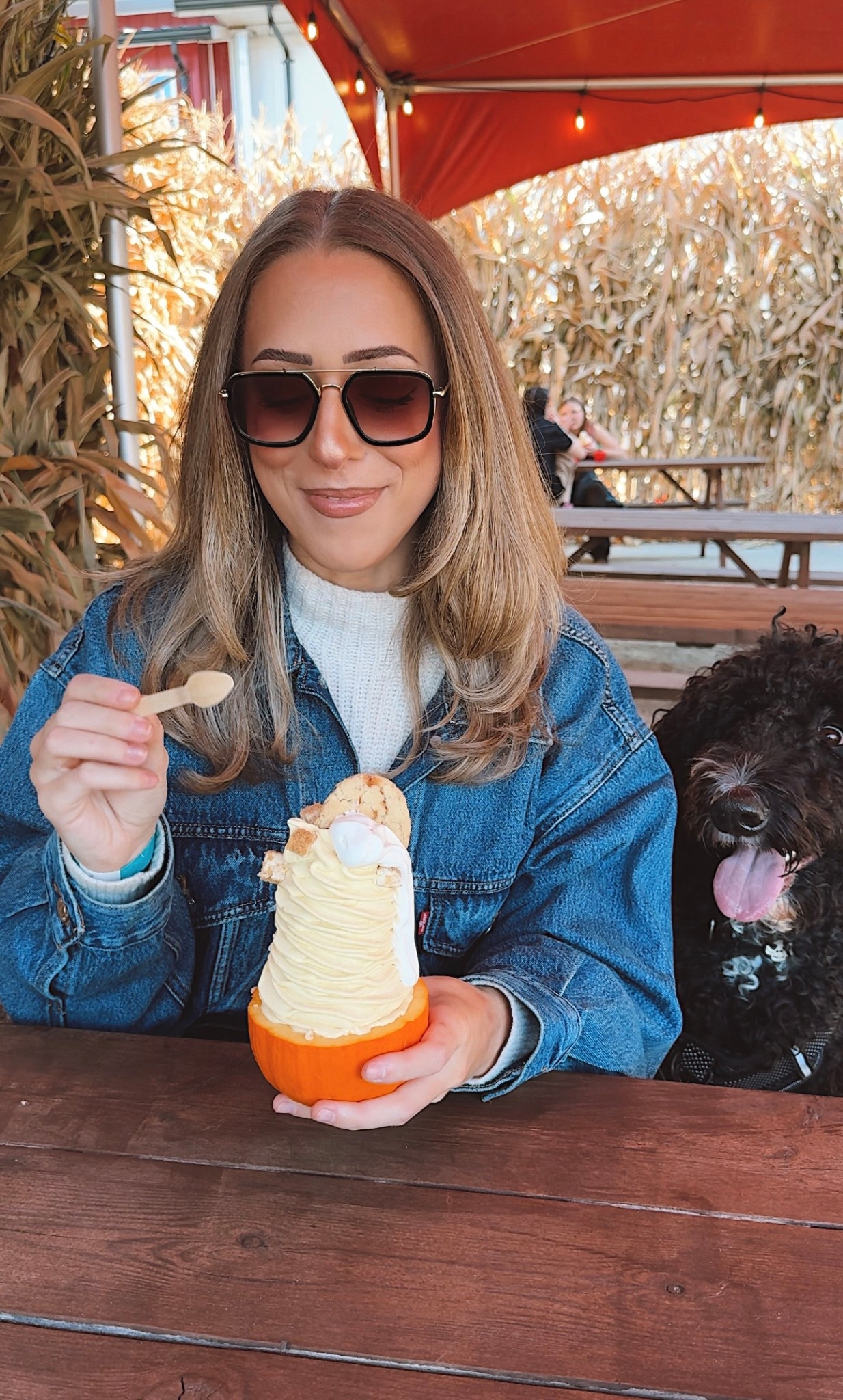 cozy pumpkin patch vibes 🎃🍂

#LTKstyletip #LTKcanada #LTKbeauty