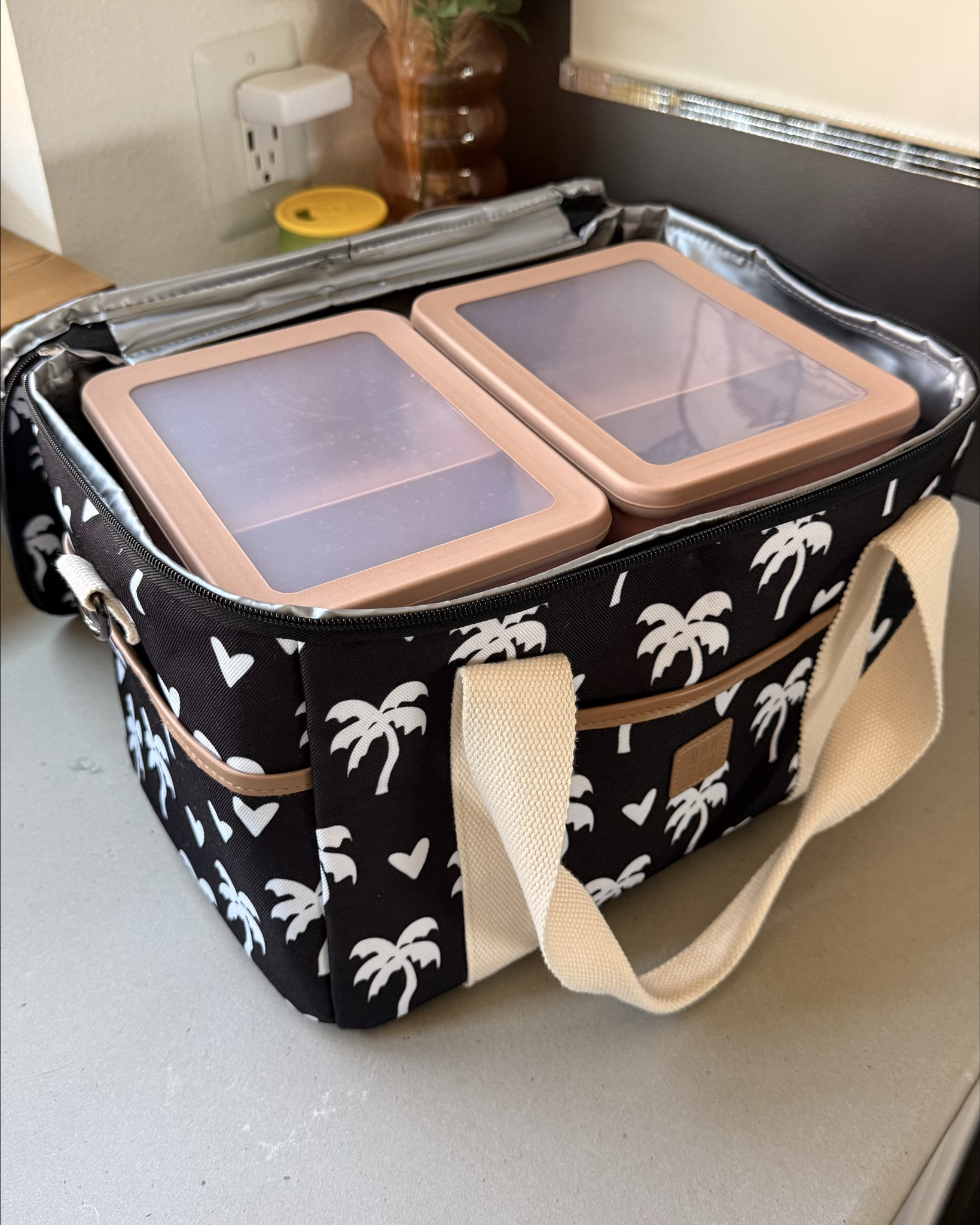 Best bento boxes for our coolers!!