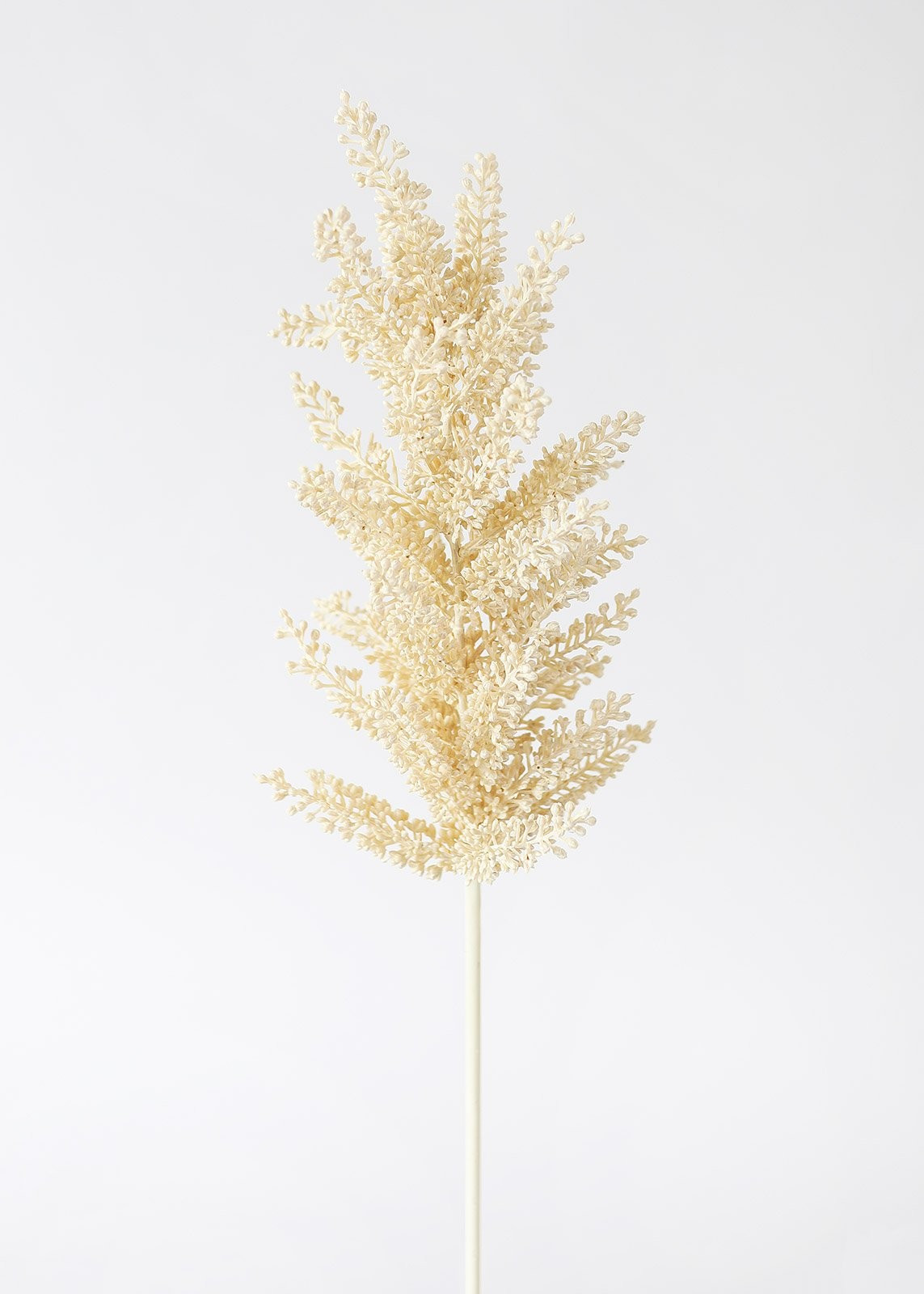 Neutral Cream Beige Faux Plastic Astilbe Flower - 26" | Afloral (US)