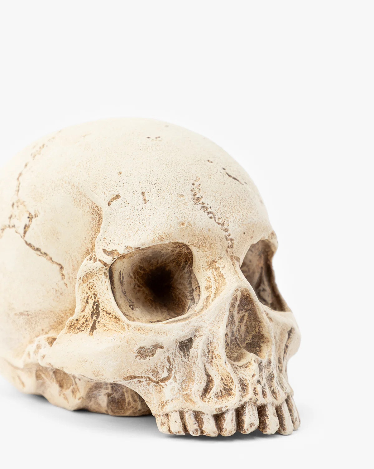 Resin Skull Object | McGee & Co. (US)