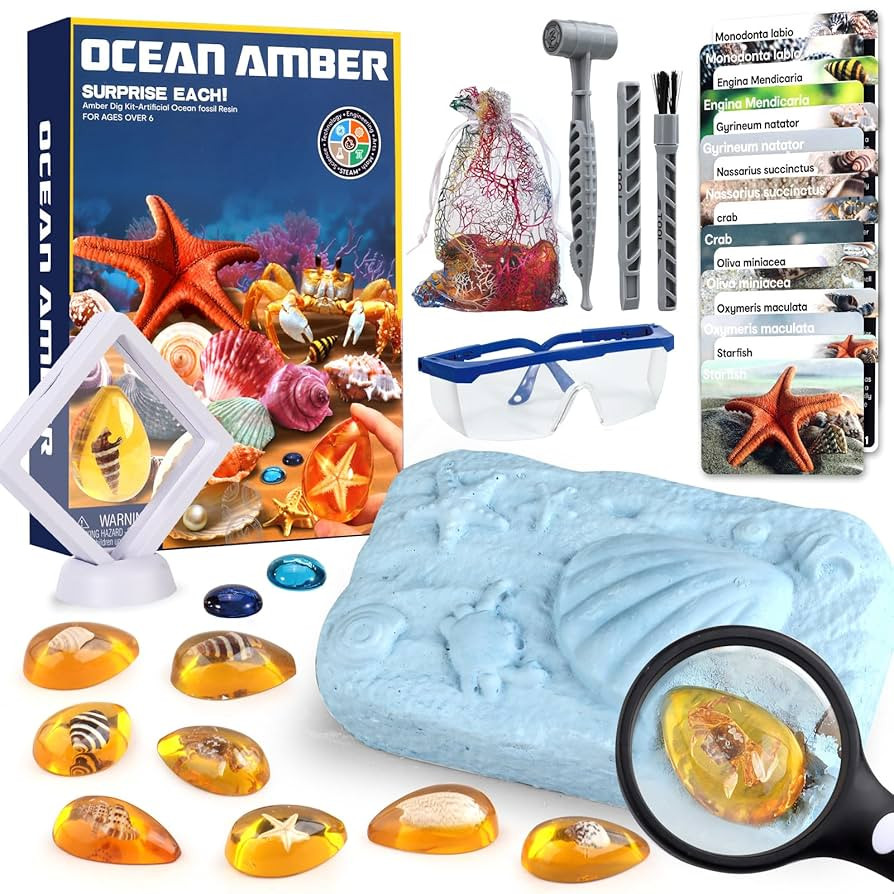 Ocean Dig Kit - 8 Specimens Excavation Kit, Gemstone for Kids, Fossil Ocean Toys Dig Kits for Amb... | Amazon (US)