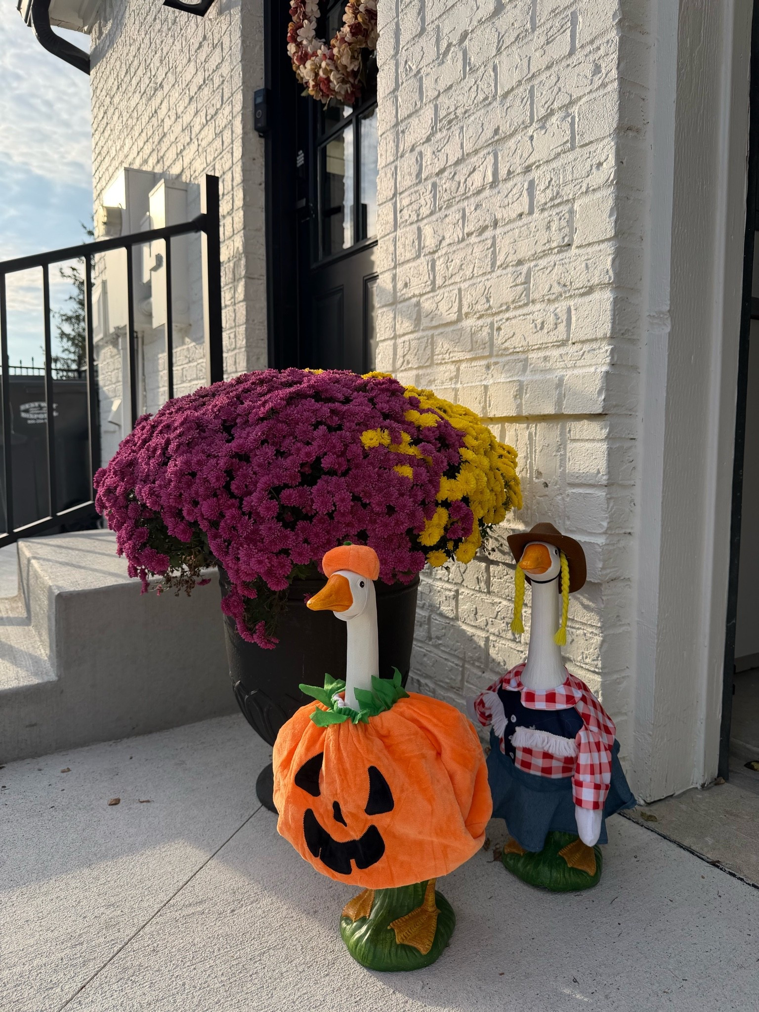 Porch geese decided it was time for a new costume 🎃

#LTKmomlife #LTKHome #LTKSeasonal
