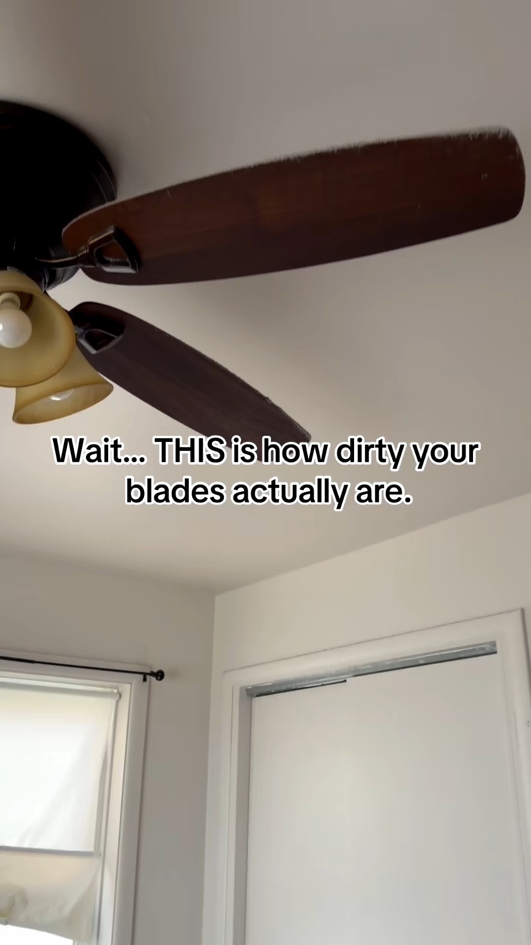 Best investment for my home

#LTKSpringSale #LTKHome #LTKvlog