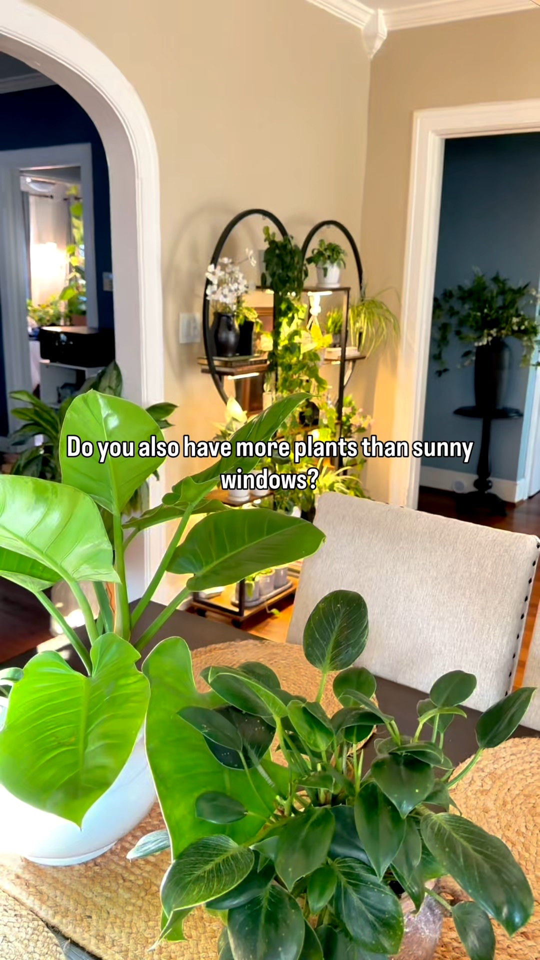 Every winter, my plants move in...
and my windows immediately fill up.
I wanted something affordable since they go back out in spring, and this plant shelf with grow lights was the perfect fix.
Now even the no-sun corners have plants,
and they look so pretty together.😊🥰
#LTKHome