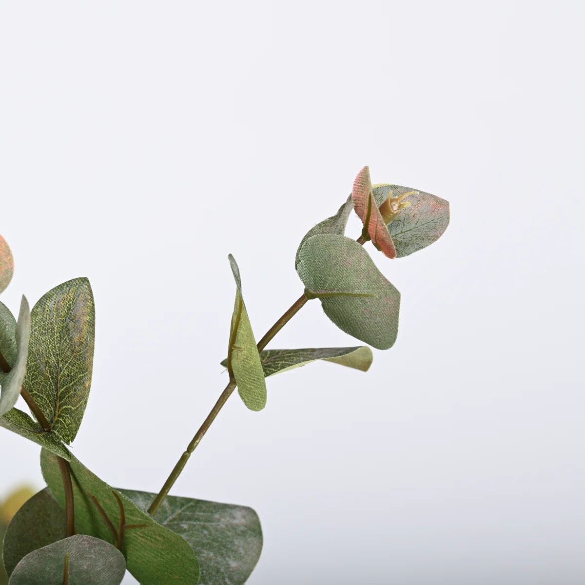 Hamlin Silk Eucalyptus Arrangement (Set of 5) | Wayfair North America