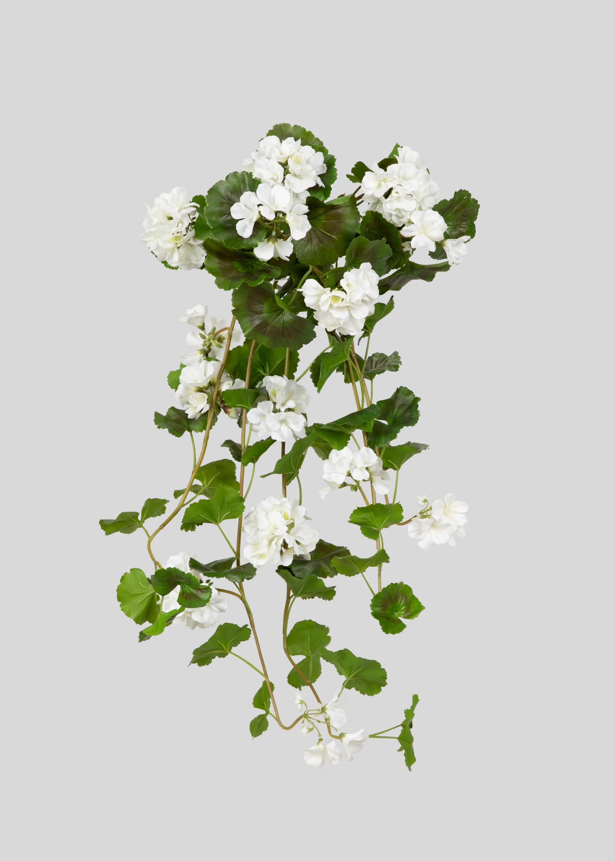 White Geranium Bush | Artificial UV Treated Outdoor Flowers | Afloral | Afloral