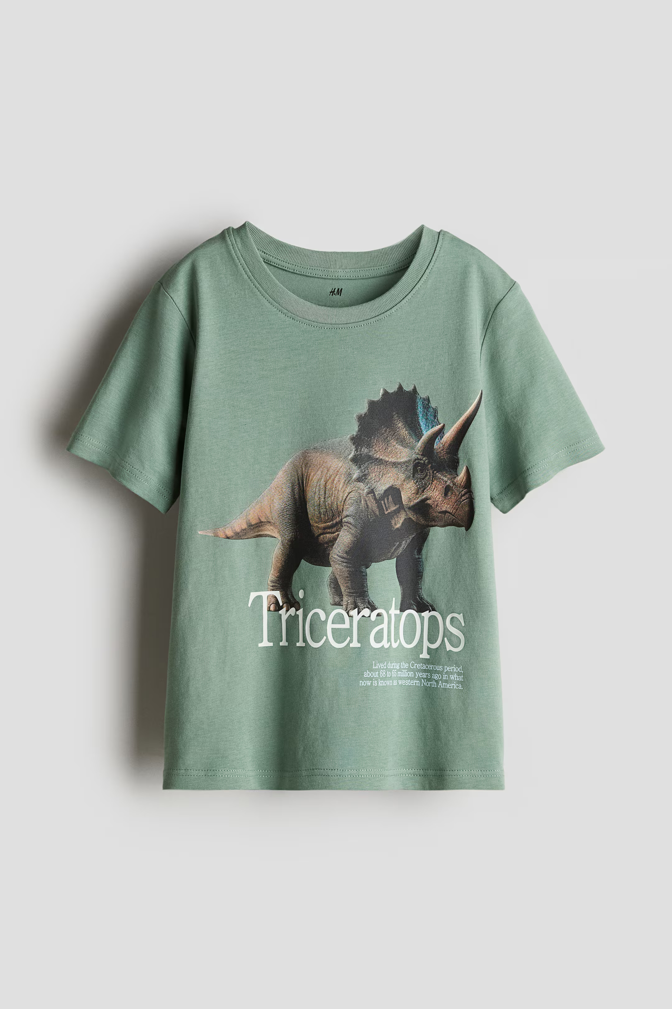 Printed T-shirt | H&M (US + CA)