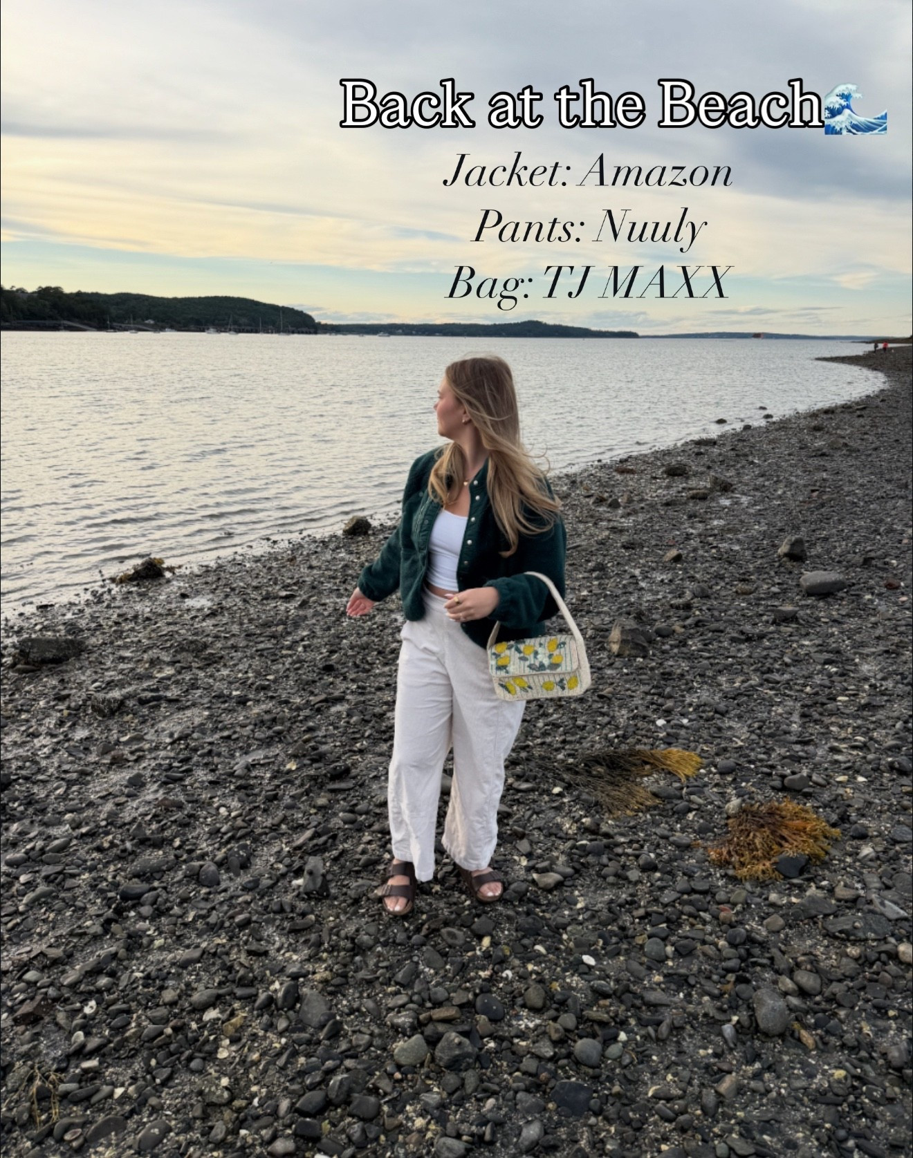 Chilly beach vibes 🌊🍂 Cozy layers + casual dinner style—Amazon finds keeping me comfy and cute by the shore.


#LTKstyle #LTKfall #LTKcozy #LTKootd #LTKseasonal #LTKfashion #LTKcasual #LTKunder100 #LTKamazonfinds #LTKcoastal

#LTKTravel #LTKStyleTip #LTKFindsUnder100