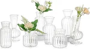 Modern Clear Glass Bud Vase Set: Glasseam 8Pcs Small Mini Flower Centerpieces Vases Handmade Deco... | Amazon (US)